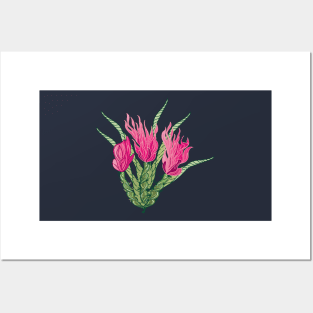 Cactus flowers Posters and Art